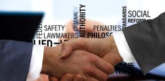 pozycjonowanie agencja