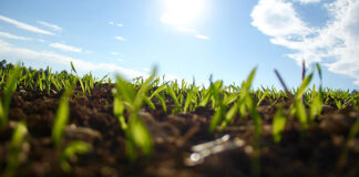 Co ma znaczenie przy wybieraniu rolniczych preparatów