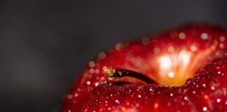 Jakie korzyści przynosi dobre opracowanie ścieżki kariery?