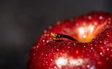 Jakie korzyści przynosi dobre opracowanie ścieżki kariery?