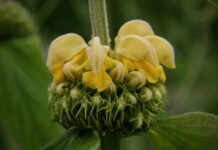 Jak stworzyć brand? Jak stworzyć brand?