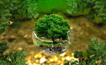 Jak osiągnąć równowagę wewnętrzna?