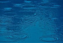 Co ma wpływ na charakter człowieka?