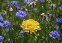 Za co odpowiada rzecznik prasowy?