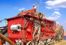 Jakich zawodów nie ma w Polsce?