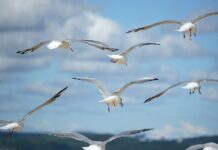 Jak rozwinąć swoją firmę?