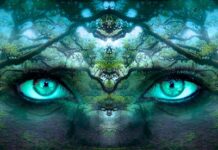 Co składa się na tożsamość organizacji?