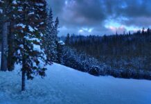 Co można robić po licencjacie z biologii?