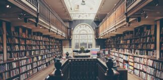 Jak sprawdzić poziom inteligencji?