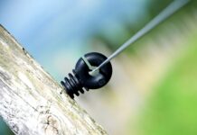 Ile Polaków pracuje w NASA?