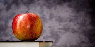 W jakich klasach będzie HiT?