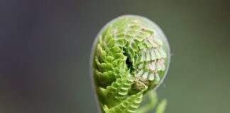 Jak rozwijać swoją markę?