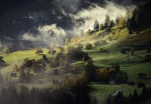 Jak wyrobić poranna rutynę? Jak wyrobić poranna rutynę?