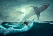 Jak szybko zdobyć nowy zawód?