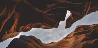 Jakie są formy współpracy?