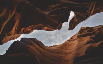 Jakie są formy współpracy?