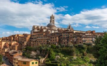 Co to znaczy ścieżka i plan rozwoju pracownika w firmie?