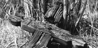 Czy PR i marketing to to samo?