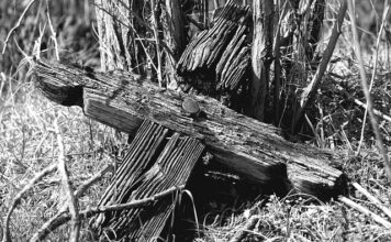 Czy PR i marketing to to samo? Czy PR i marketing to to samo?