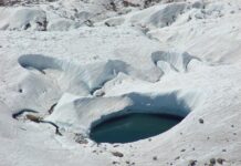 Jakie kryteria uwzględnia się przy tworzeniu ścieżki kariery zawodowej?