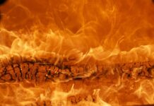 Czym jest wartość marki?