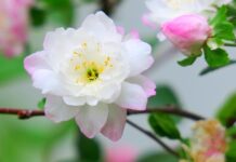 Ile jest rodzajów inteligencji? Ile jest rodzajów inteligencji?