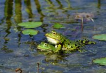 Jak stworzyć idealny zespół?
