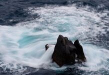 Jak rozmawiać z klientem o cenie?