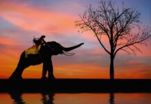 Co powinna zawierać oferta?