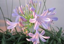 Jakie masz pomysły na pozyskanie nowych klientów?