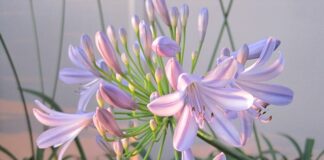 Jakie masz pomysły na pozyskanie nowych klientów?