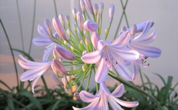 Jakie masz pomysły na pozyskanie nowych klientów?