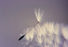 Jak odzyskać chęć do życia?