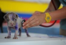 Co ma wpływ na moją dalszą drogę kształcenia?