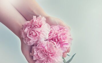 Czy można mieć 2 gospodarstwa domowe? Czy można mieć 2 gospodarstwa domowe?