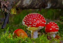 Kiedy znajomość jest toksyczną? Kiedy znajomość jest toksyczną?